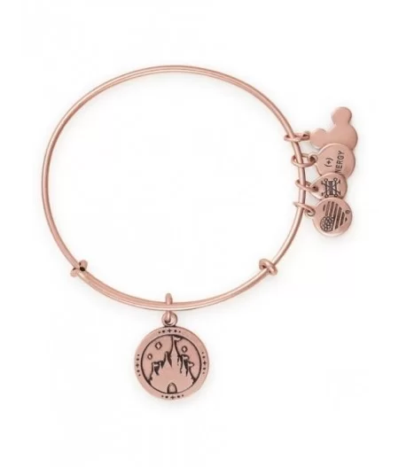 Fantasyland Castle ''Where Dreams Come True'' Bangle by Alex and Ani – Rose Gold $12.48 ADULTS