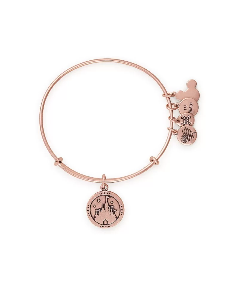 Fantasyland Castle ''Where Dreams Come True'' Bangle by Alex and Ani – Rose Gold $12.48 ADULTS