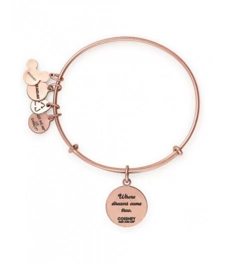 Fantasyland Castle ''Where Dreams Come True'' Bangle by Alex and Ani – Rose Gold $12.48 ADULTS