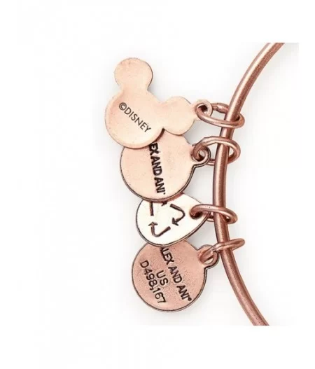 Fantasyland Castle ''Where Dreams Come True'' Bangle by Alex and Ani – Rose Gold $12.48 ADULTS