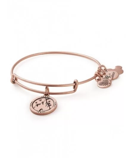 Fantasyland Castle ''Where Dreams Come True'' Bangle by Alex and Ani – Rose Gold $12.48 ADULTS