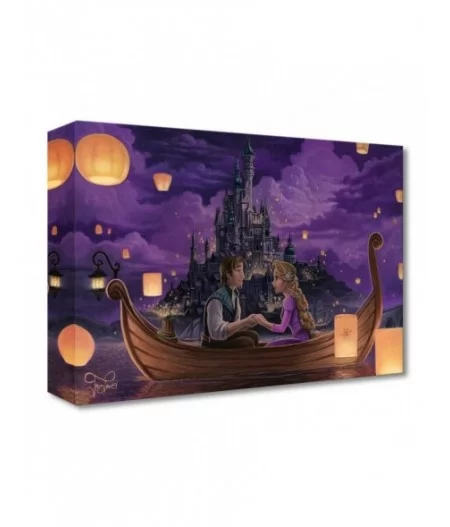 Tangled ''Festival of Lights'' Art by Jared Franco – Limited Edition $60.00 HOME DECOR