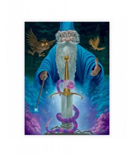 The Sword in the Stone ''Merlin's Domain'' Giclée by Jared Franco – Limited Edition $45.60 COLLECTIBLES