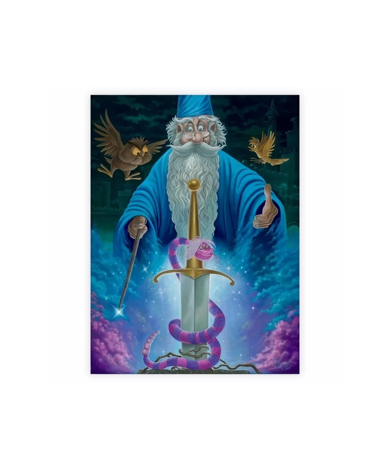 The Sword in the Stone ''Merlin's Domain'' Giclée by Jared Franco – Limited Edition $45.60 COLLECTIBLES