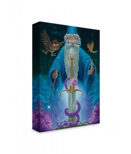 The Sword in the Stone ''Merlin's Domain'' Giclée by Jared Franco – Limited Edition $45.60 COLLECTIBLES